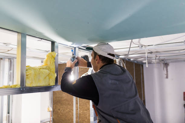 Best Geographic-Specific Insulation Services in Albertson, NY