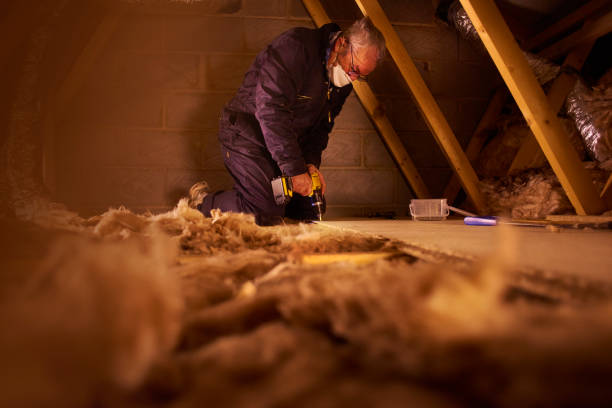 Best Insulation Maintenance and Repair in Albertson, NY